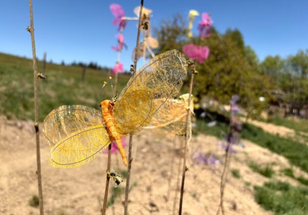 Gitti Schmid-Schmidsfelden, Schmetterling, 2026, Foto: Tanja Krauss