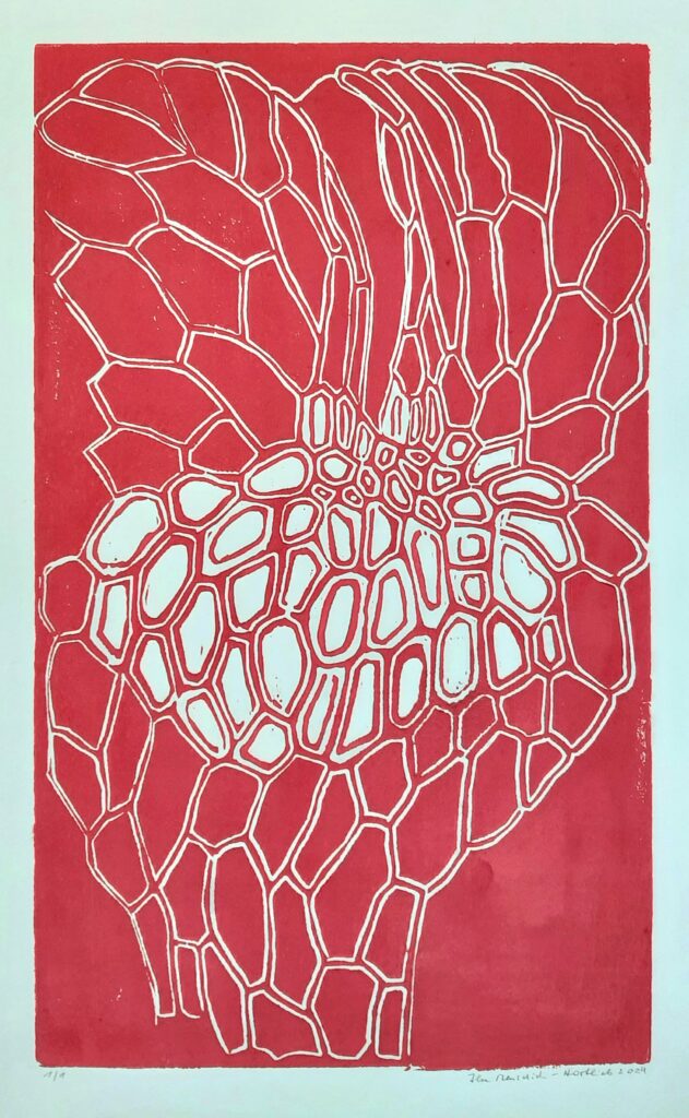 Ilse Menschick-Hartlieb, Farn-Sporangium I, 2024, Holzschnitt, 50 x 30 cm