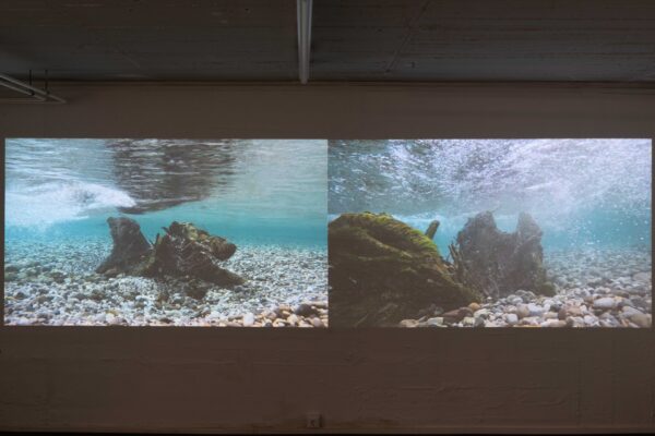 Ausstellungsansicht "Herwig Turk, Die vielen Leben des Tagliamento", Galerie Freihausgasse, Villach, 2026, © Herwig Turk / Bildrecht, Wien 2026