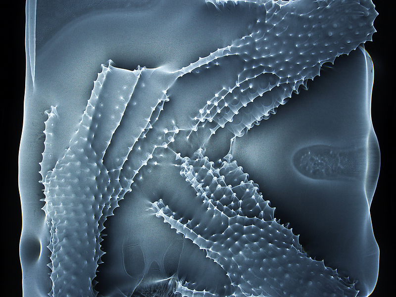 Michael Fliri, StarHands (Detail), 2022, Farbfotografie, Print auf Alu-Dibond, 63 x 63 cm
