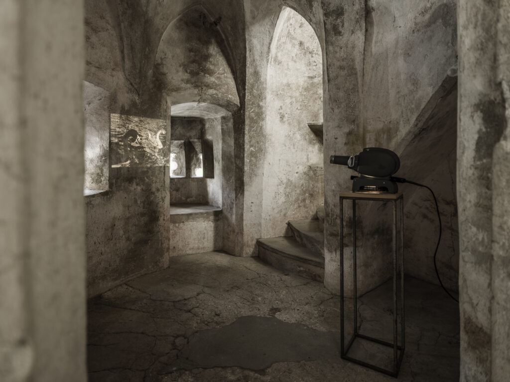 Tiberio Sorvillo, Projected Uncertainty, 2024, Ausstellungsansicht „Relationes“, Kloster Neustift / Abbazia di Novacella, Vahrn / Varna, 2026, Foto: Tiberio Sorvillo