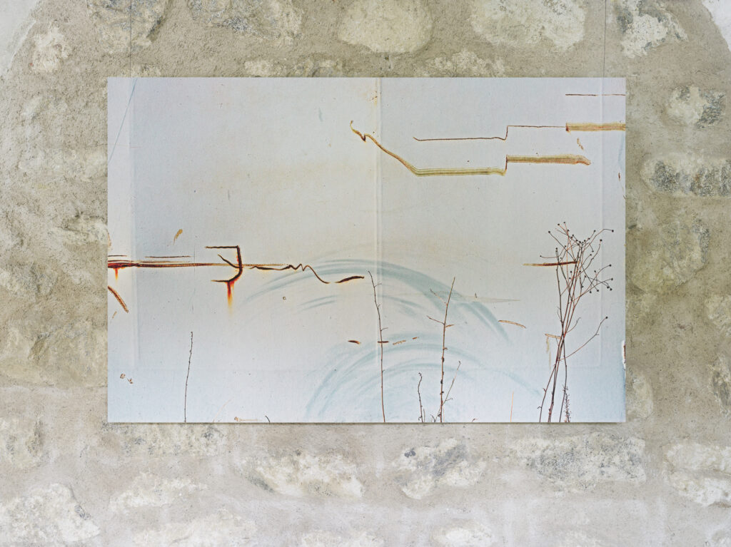 Florian Borkenhagen, Tollerort, Pflanzen vor Fluttor, 2018, Ausstellungsansicht „Relationes“, Kloster Neustift / Abbazia di Novacella, Vahrn / Varna, 2026, Foto: Tiberio Sorvillo