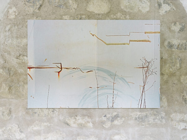 Florian Borkenhagen, Tollerort, Pflanzen vor Fluttor, 2018, Ausstellungsansicht „Relationes“, Kloster Neustift / Abbazia di Novacella, Vahrn / Varna, 2026, Foto: Tiberio Sorvillo