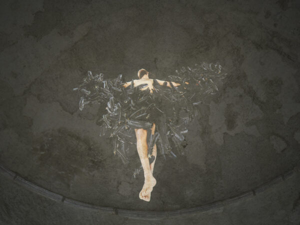 Julia Bornefeld, Black Swan 2020/2026, Ausstellungsansicht „Relationes“, Kloster Neustift / Abbazia di Novacella, Vahrn / Varna, 2026, Foto: Tiberio Sorvillo