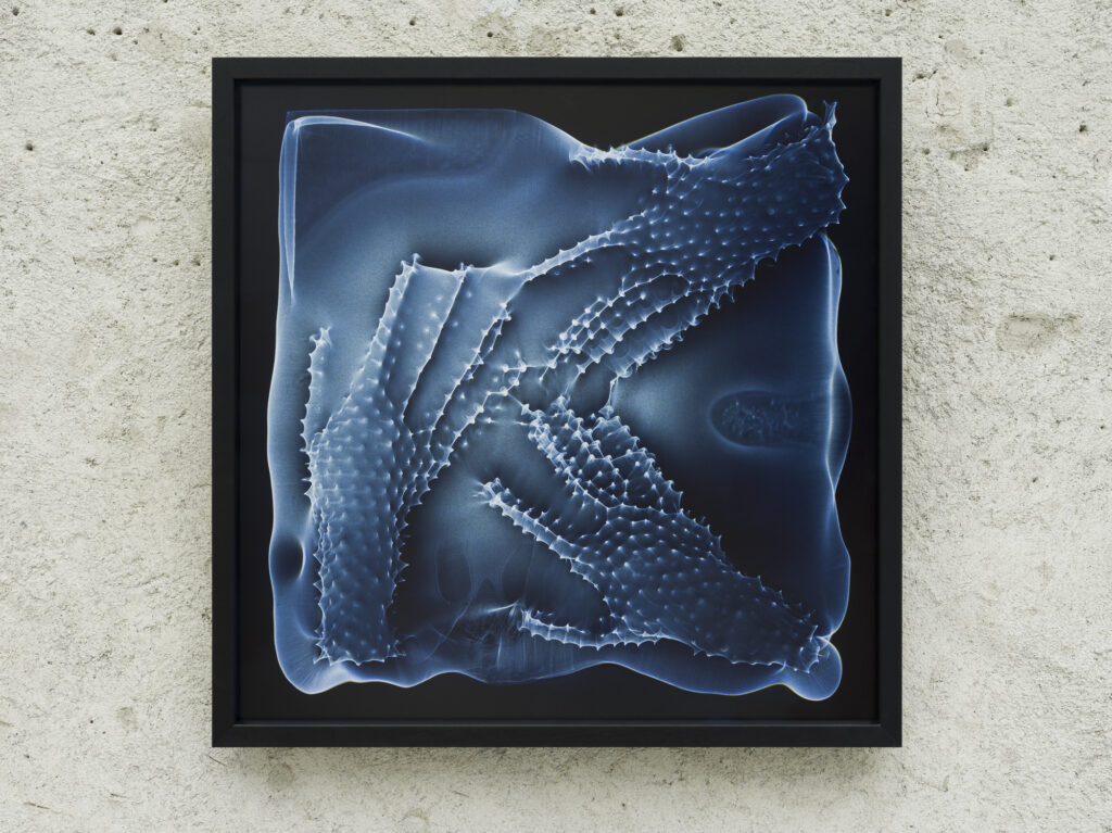 Michael Fliri, StarHands, 2022, Ausstellungsansicht „Relationes“, Kloster Neustift / Abbazia di Novacella, Vahrn / Varna, 2026, Foto: Tiberio Sorvillo