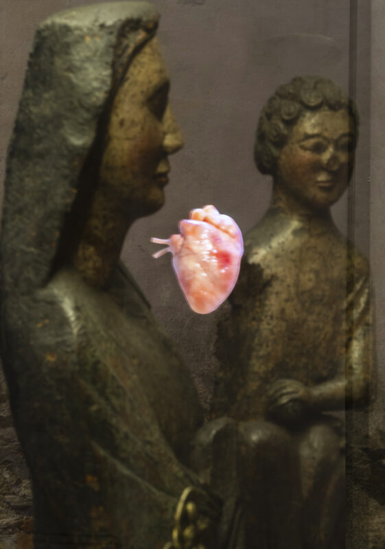 Ausstellungsansicht „Pepo Pichler: Visueller Dialog“, Schatzkammer Gurk, 2026, Foto: Ferdinand Neumüller