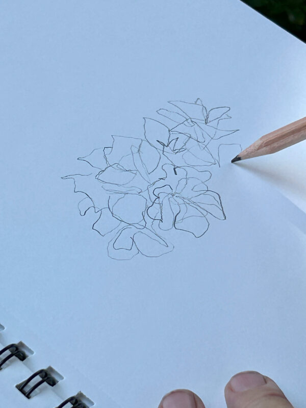 Johann Kotzian, Rosen, 2026, Bleistift auf Papier, 29 x 21 cm, Foto: Luise Kloos