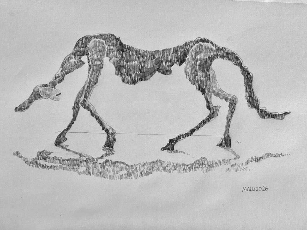 Maria Luise Borstner, Hund, 2026, Bleistift auf Papier, 21 x 30 cm, Foto: Luise Kloos